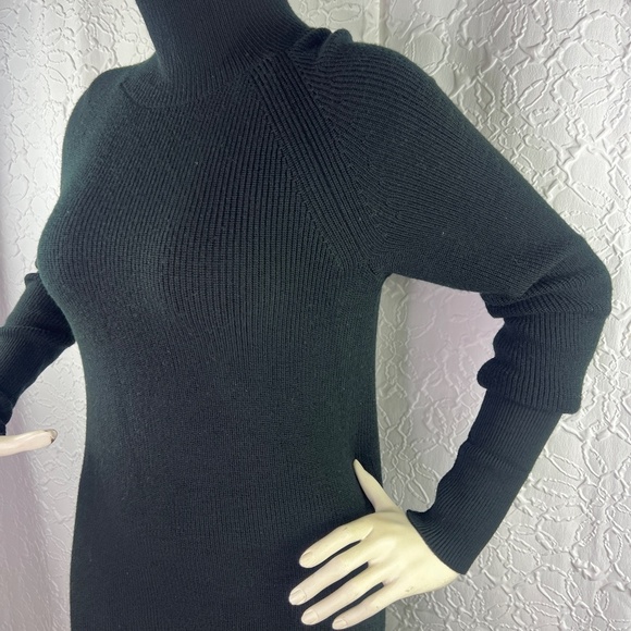 Banana Republic 100% Merino Wool dress - Picture 3 of 10